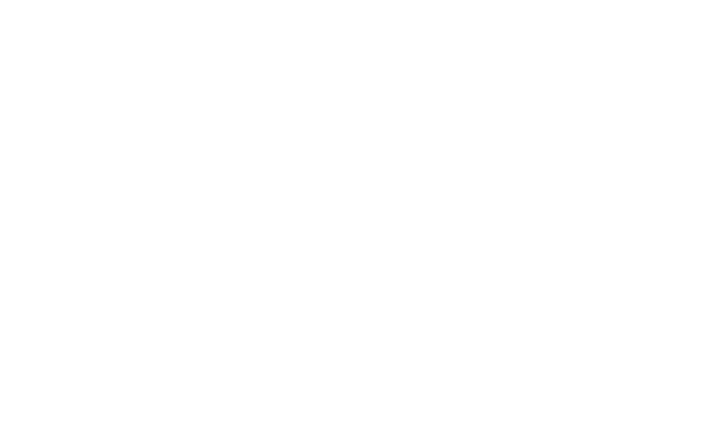 Boss Man Protects